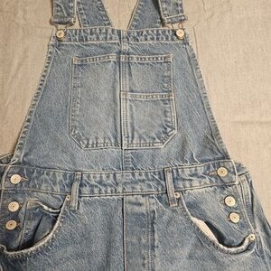 Free People Good Luck Denim Overalls